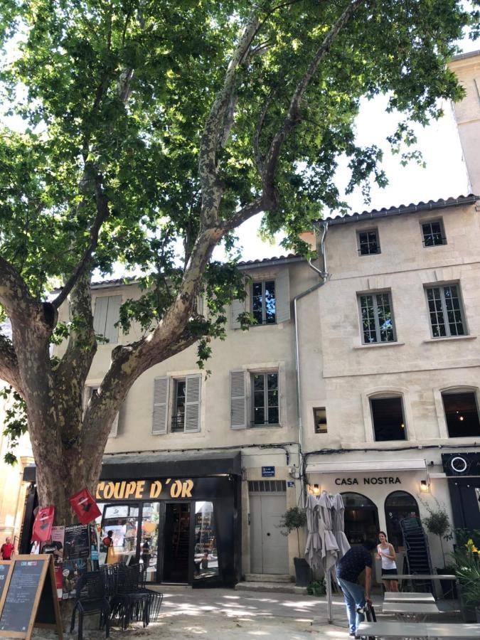 Avignon Pedestrian Area, Charming, 4 Persons Διαμέρισμα Εξωτερικό φωτογραφία