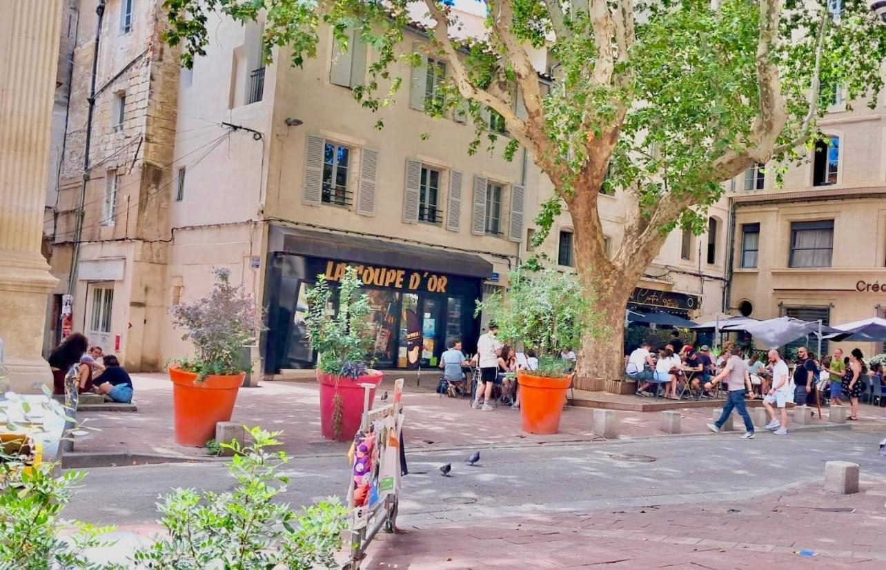Avignon Pedestrian Area, Charming, 4 Persons Διαμέρισμα Εξωτερικό φωτογραφία