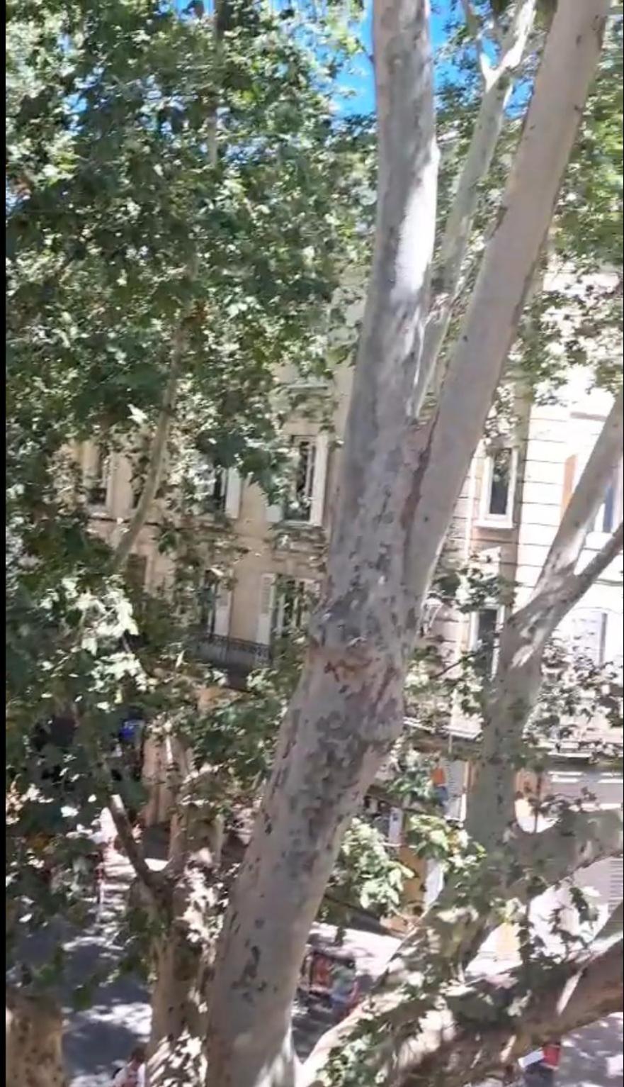 Avignon Pedestrian Area, Charming, 4 Persons Διαμέρισμα Εξωτερικό φωτογραφία